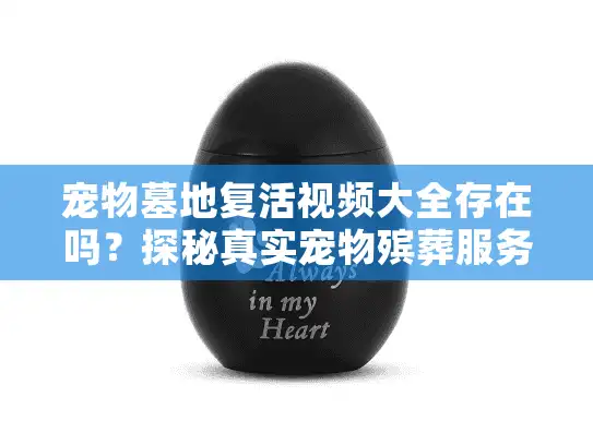 宠物墓地复活视频大全存在吗？探秘真实宠物殡葬服务全程记录