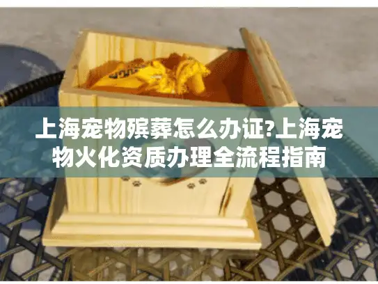 上海宠物殡葬怎么办证?上海宠物火化资质办理全流程指南
