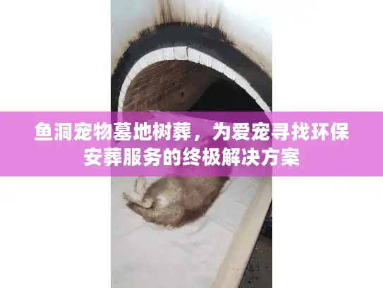 鱼洞宠物墓地树葬，为爱宠寻找环保安葬服务的终极解决方案