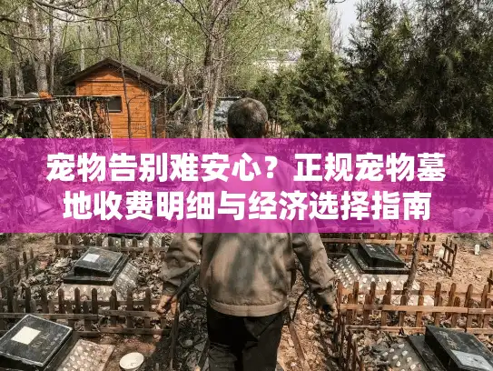 宠物告别难安心？正规宠物墓地收费明细与经济选择指南