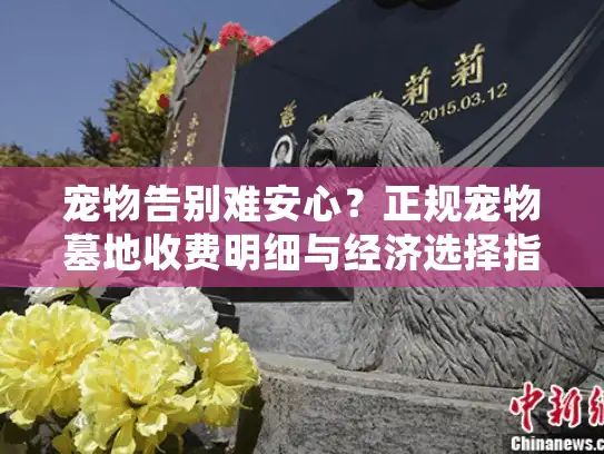 宠物告别难安心？正规宠物墓地收费明细与经济选择指南