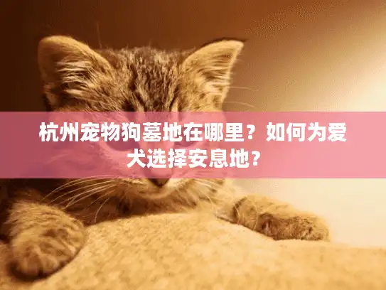杭州宠物狗墓地在哪里？如何为爱犬选择安息地？