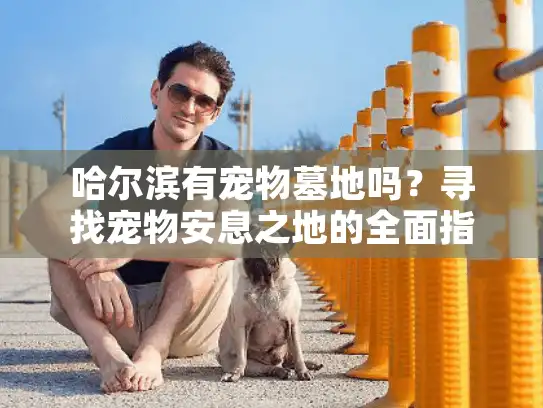 哈尔滨有宠物墓地吗？寻找宠物安息之地的全面指南与推荐