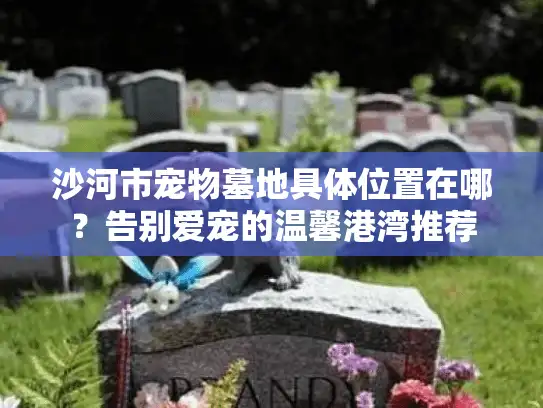 沙河市宠物墓地具体位置在哪？告别爱宠的温馨港湾推荐