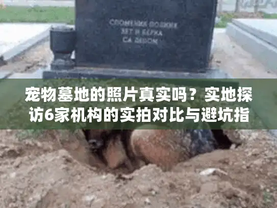 宠物墓地的照片真实吗？实地探访6家机构的实拍对比与避坑指南