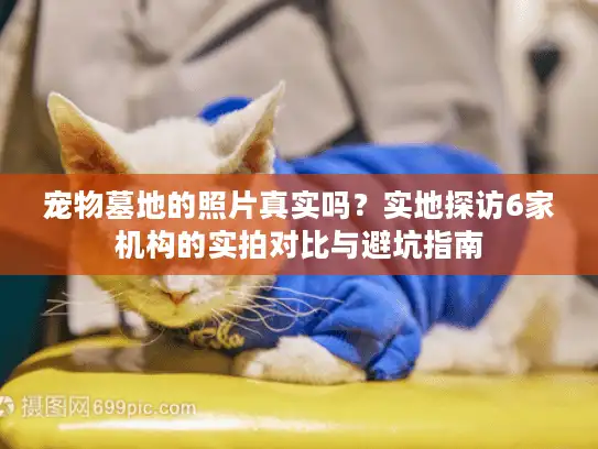 宠物墓地的照片真实吗？实地探访6家机构的实拍对比与避坑指南