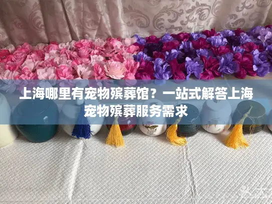 上海哪里有宠物殡葬馆？一站式解答上海宠物殡葬服务需求