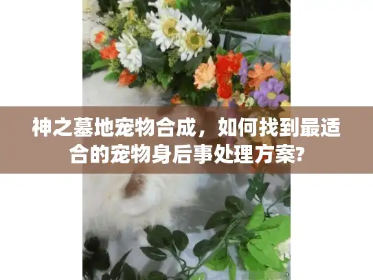 神之墓地宠物合成，如何找到最适合的宠物身后事处理方案?