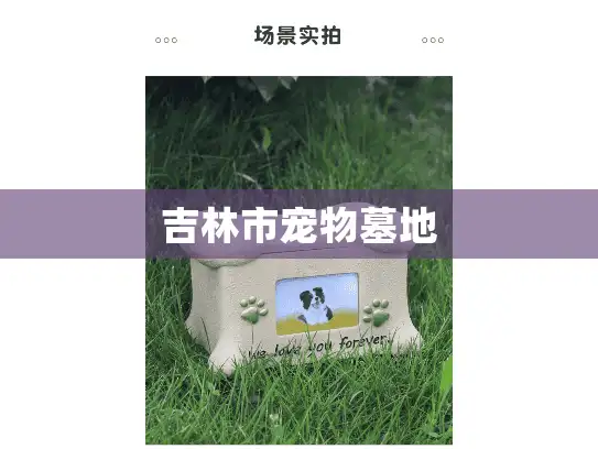 吉林市宠物墓地