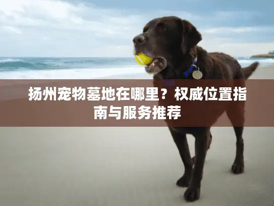 扬州宠物墓地在哪里？权威位置指南与服务推荐
