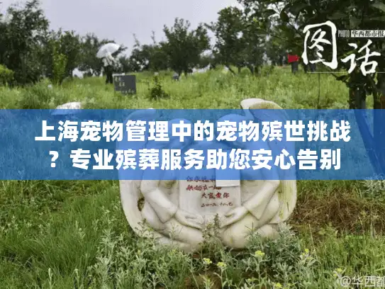 上海宠物管理中的宠物殡世挑战？专业殡葬服务助您安心告别