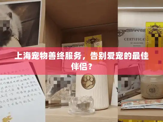 上海宠物善终服务，告别爱宠的最佳伴侣？