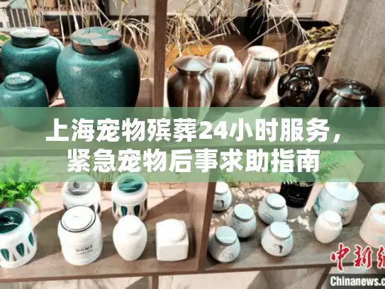 上海宠物殡葬24小时服务，紧急宠物后事求助指南