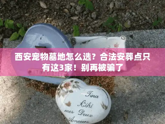西安宠物墓地怎么选？合法安葬点只有这3家！别再被骗了