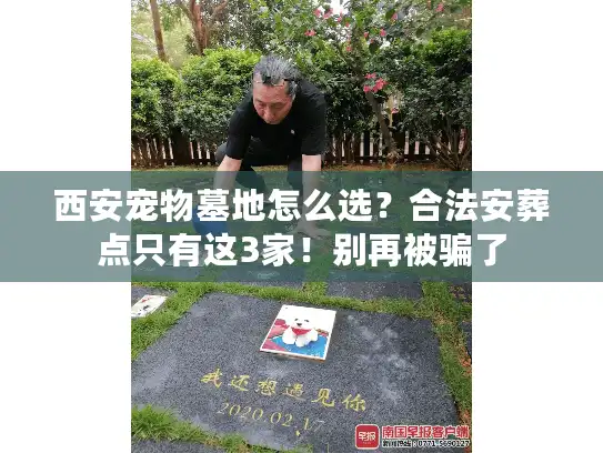 西安宠物墓地怎么选？合法安葬点只有这3家！别再被骗了