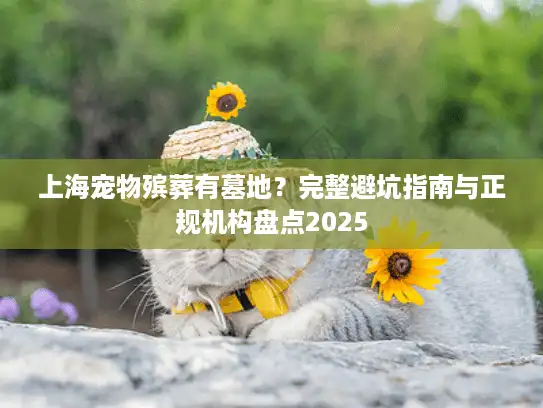 上海宠物殡葬有墓地？完整避坑指南与正规机构盘点2025