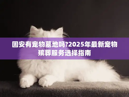 固安有宠物墓地吗?2025年最新宠物殡葬服务选择指南