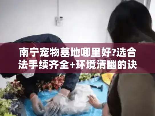 南宁宠物墓地哪里好?选合法手续齐全+环境清幽的诀窍在这里