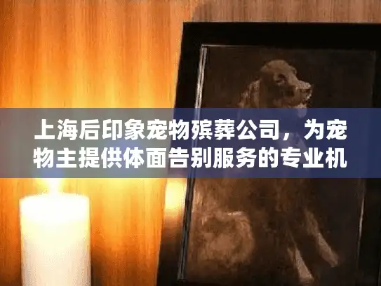上海后印象宠物殡葬公司，为宠物主提供体面告别服务的专业机构