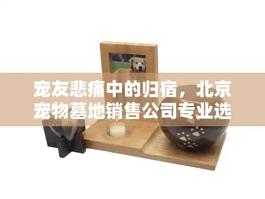 宠友悲痛中的归宿，北京宠物墓地销售公司专业选购指南