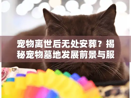 宠物离世后无处安葬？揭秘宠物墓地发展前景与服务创新