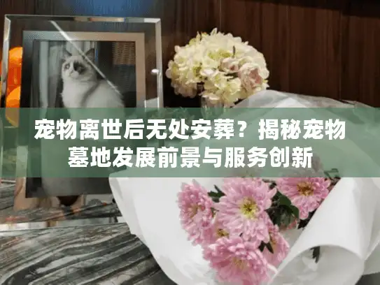 宠物离世后无处安葬？揭秘宠物墓地发展前景与服务创新