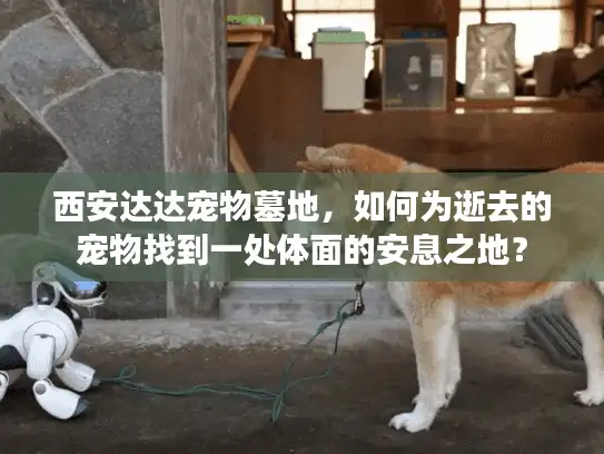 西安达达宠物墓地，如何为逝去的宠物找到一处体面的安息之地？