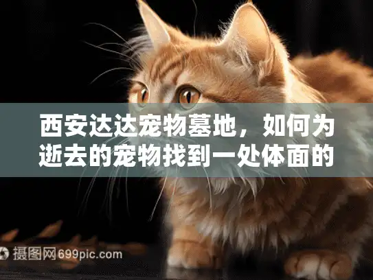 西安达达宠物墓地，如何为逝去的宠物找到一处体面的安息之地？