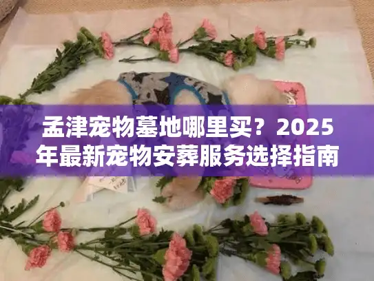 孟津宠物墓地哪里买？2025年最新宠物安葬服务选择指南
