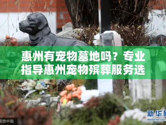 惠州有宠物墓地吗？专业指导惠州宠物殡葬服务选择