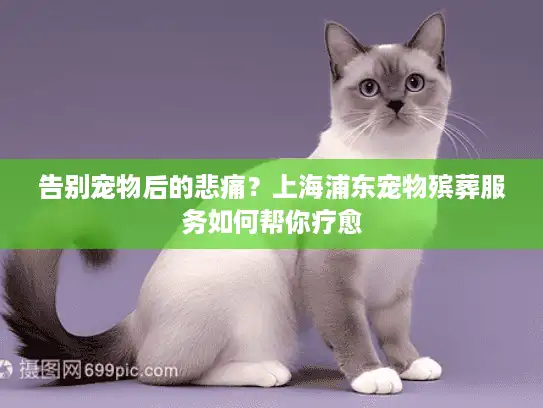 告别宠物后的悲痛？上海浦东宠物殡葬服务如何帮你疗愈