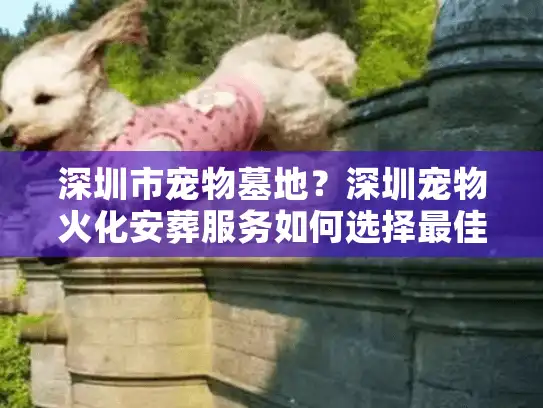 深圳市宠物墓地？深圳宠物火化安葬服务如何选择最佳方案