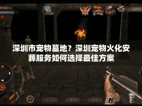 深圳市宠物墓地？深圳宠物火化安葬服务如何选择最佳方案