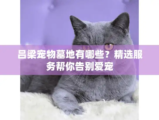 吕梁宠物墓地有哪些？精选服务帮你告别爱宠