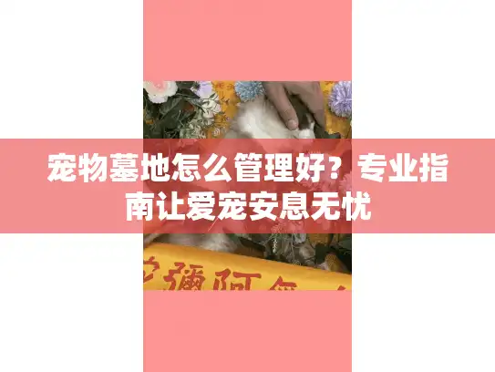 宠物墓地怎么管理好？专业指南让爱宠安息无忧