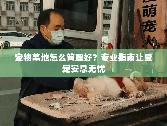 宠物墓地怎么管理好？专业指南让爱宠安息无忧