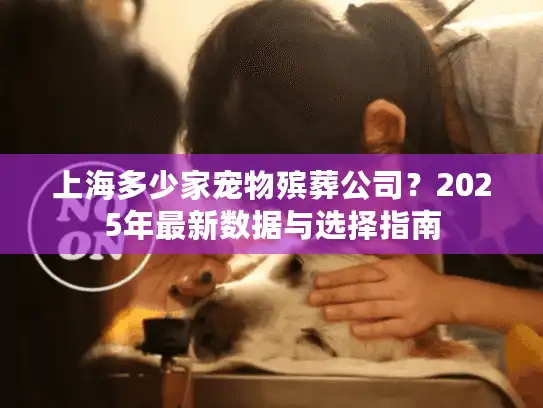 上海多少家宠物殡葬公司？2025年最新数据与选择指南