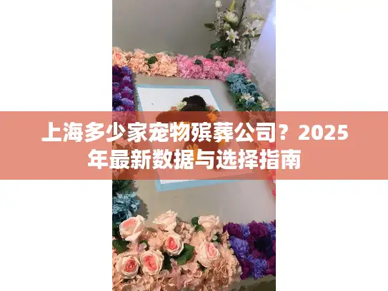 上海多少家宠物殡葬公司？2025年最新数据与选择指南