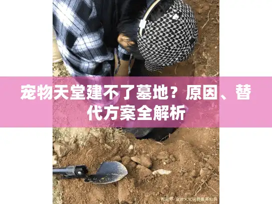 宠物天堂建不了墓地？原因、替代方案全解析