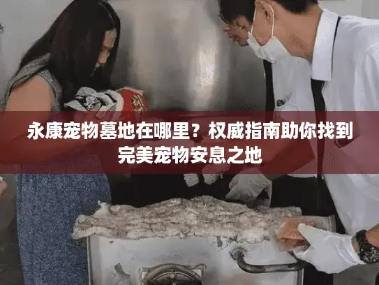 永康宠物墓地在哪里？权威指南助你找到完美宠物安息之地