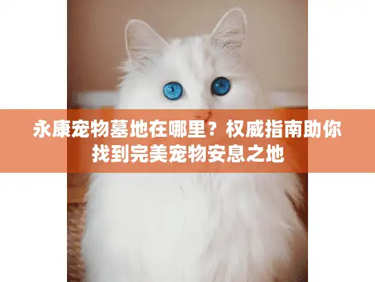 永康宠物墓地在哪里？权威指南助你找到完美宠物安息之地