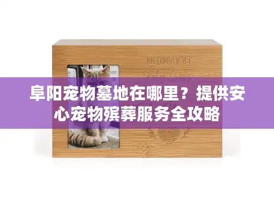 阜阳宠物墓地在哪里？提供安心宠物殡葬服务全攻略