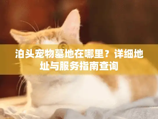 泊头宠物墓地在哪里？详细地址与服务指南查询