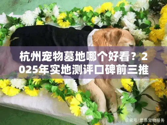 杭州宠物墓地哪个好看？2025年实地测评口碑前三推荐