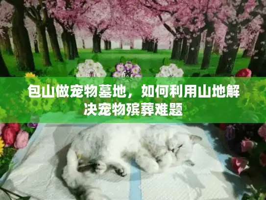 包山做宠物墓地，如何利用山地解决宠物殡葬难题