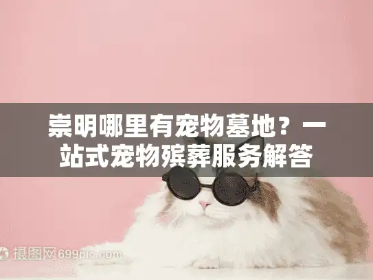 崇明哪里有宠物墓地？一站式宠物殡葬服务解答
