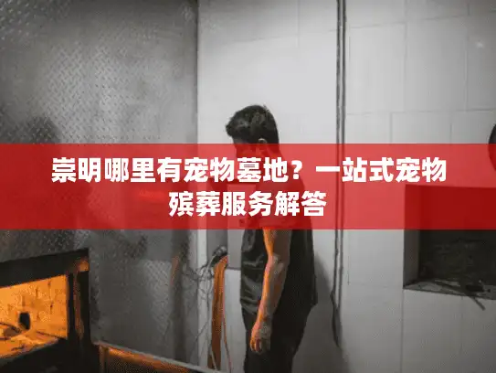 崇明哪里有宠物墓地？一站式宠物殡葬服务解答