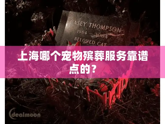 上海哪个宠物殡葬服务靠谱点的？