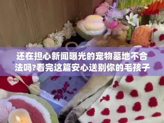 还在担心新闻曝光的宠物墓地不合法吗?看完这篇安心送别你的毛孩子
