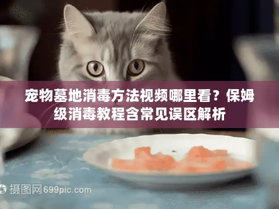 宠物墓地消毒方法视频哪里看？保姆级消毒教程含常见误区解析